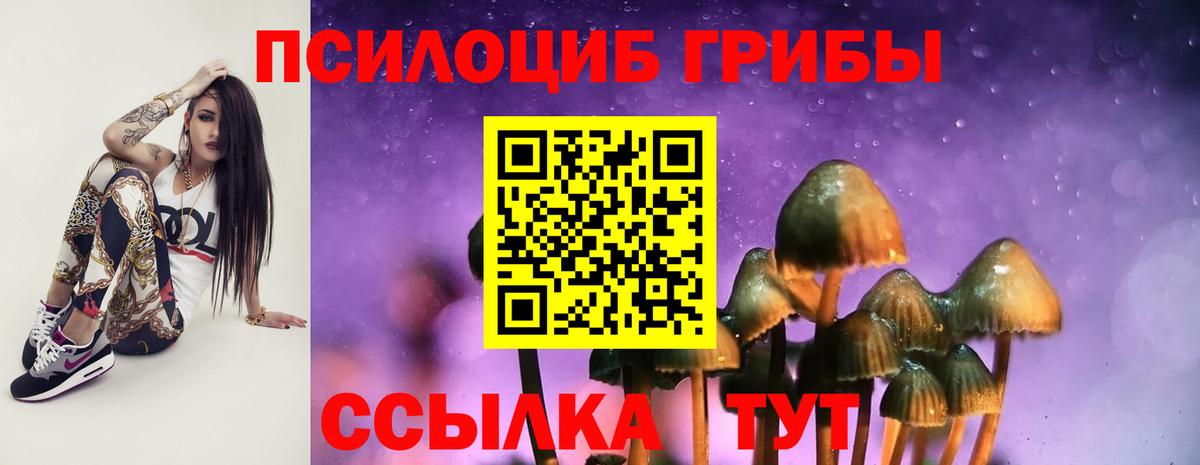 Галлюциногенные грибы GOLDEN TEACHER Дзержинск